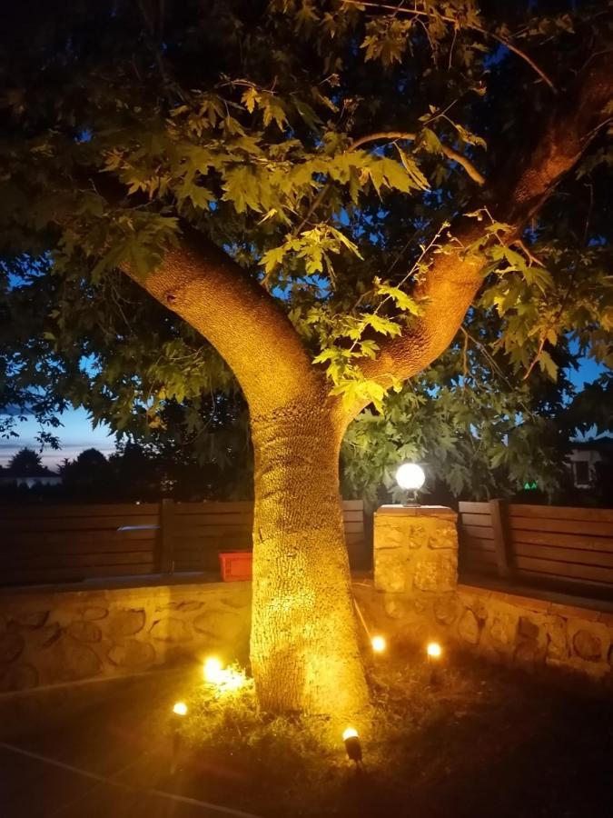 Vital Home Sapanca Isitmali Havuzlu Villa&Bungalov Екстериор снимка